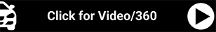 Dealer Video Pro